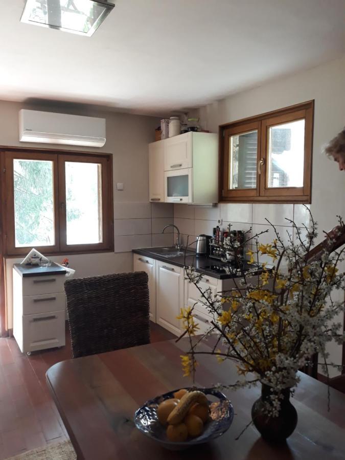 Dragonfly River House On Korana Near Plitvice And Mreznica Holiday home *